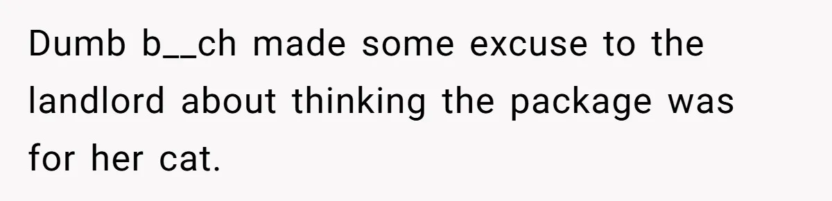 Dumb b__ch made some excuse to the landlord about thinking the package was for her cat.