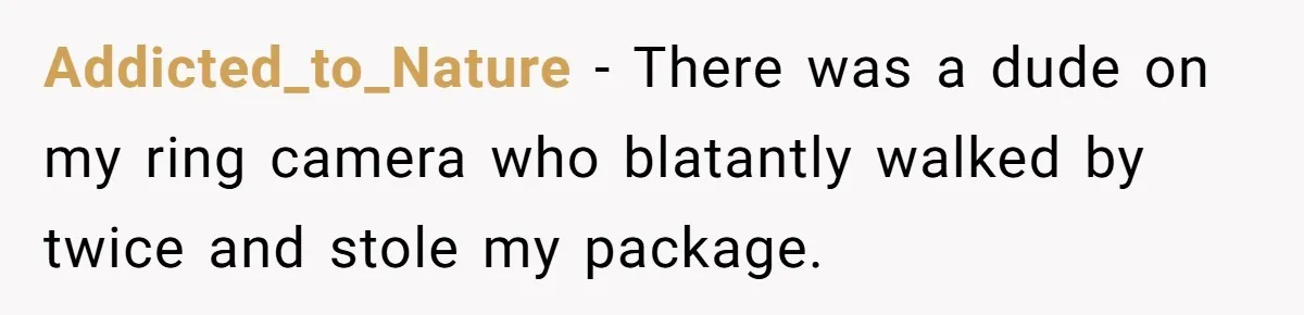 Addicted_to_Nature − There was a dude on my ring camera who blatantly walked by twice and stole my package.