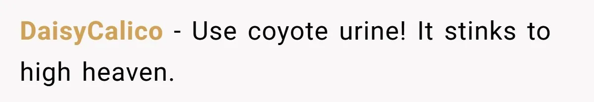 DaisyCalico − Use coyote urine! It stinks to high heaven.