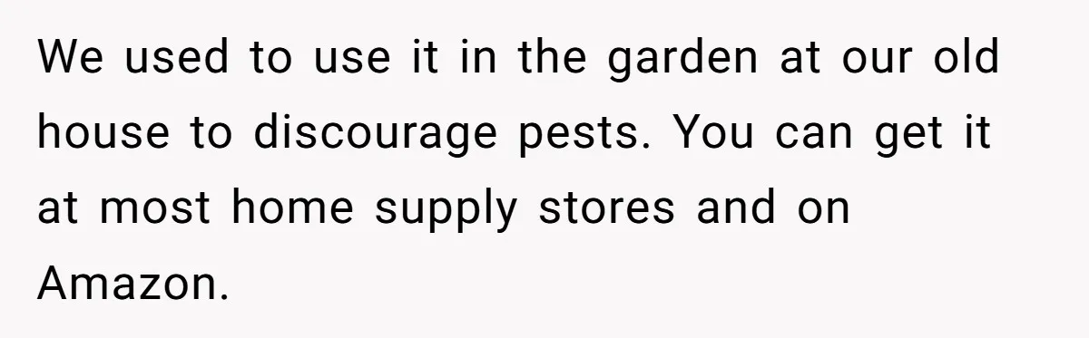 We used to use it in the garden at our old house to discourage pests. You can get it at most home supply stores and on Amazon.
