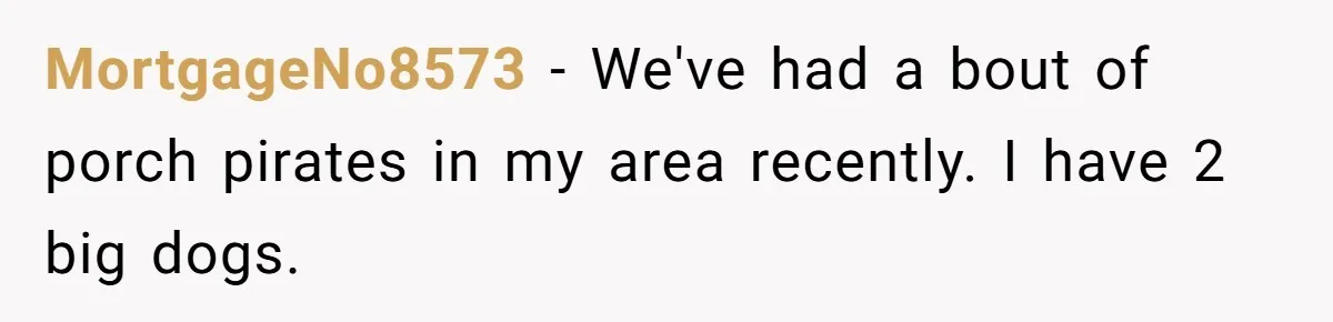 MortgageNo8573 − We've had a bout of porch pirates in my area recently. I have 2 big dogs.