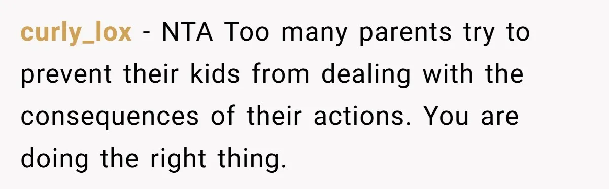 curly_lox − NTA Too many parents try to prevent their kids from dealing with the consequences of their actions. You are doing the right thing.