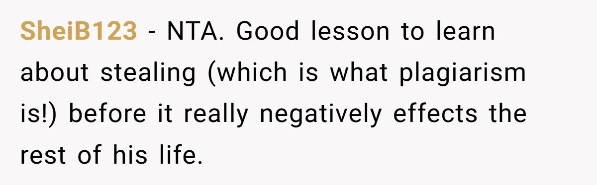 SheiB123 − NTA. Good lesson to learn about stealing (which is what plagiarism is!) before it really negatively effects the rest of his life.