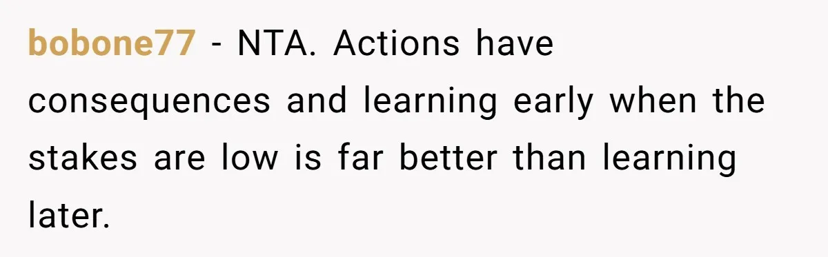bobone77 − NTA. Actions have consequences and learning early when the stakes are low is far better than learning later.