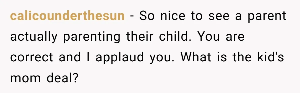 calicounderthesun − So nice to see a parent actually parenting their child. You are correct and I applaud you. What is the kid's mom deal?