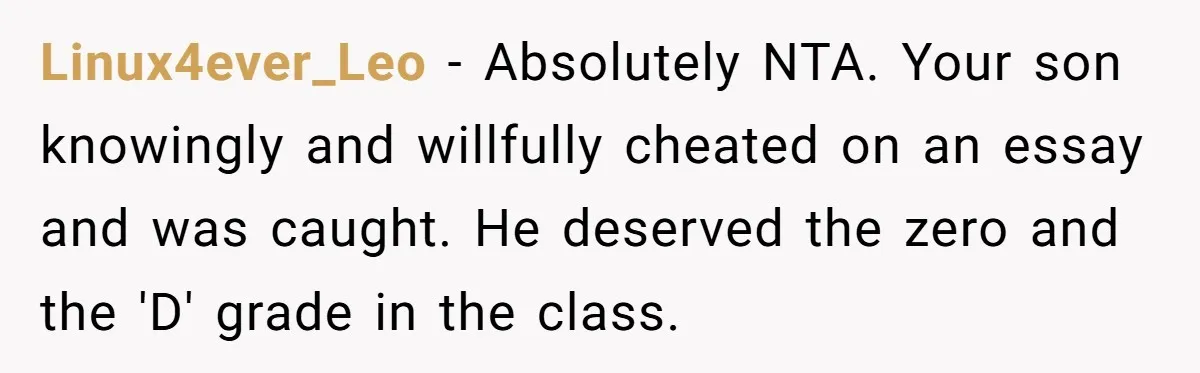 Linux4ever_Leo − Absolutely NTA. Your son knowingly and willfully cheated on an essay and was caught. He deserved the zero and the 'D' grade in the class.