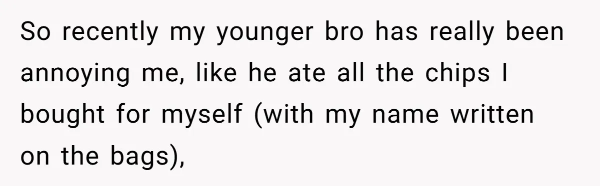 So recently my younger bro has really been annoying me, like he ate all the chips I bought for myself (with my name written on the bags),