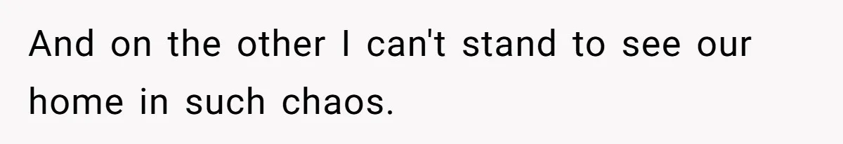 And on the other I can't stand to see our home in such chaos.