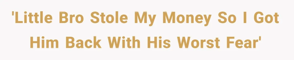 'Little bro stole my money so I got him back with his worst fear'