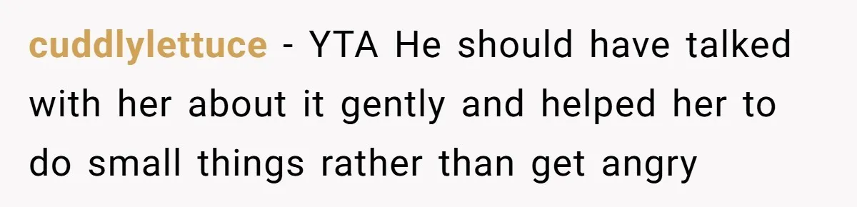 cuddlylettuce − YTA He should have talked with her about it gently and helped her to do small things rather than get angry