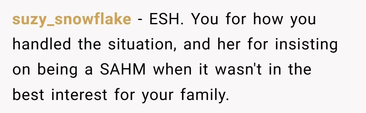 suzy_snowflake − ESH. You for how you handled the situation, and her for insisting on being a SAHM when it wasn't in the best interest for your family.