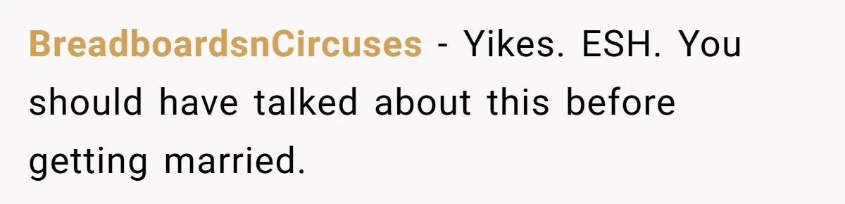 BreadboardsnCircuses − Yikes. ESH. You should have talked about this before getting married.