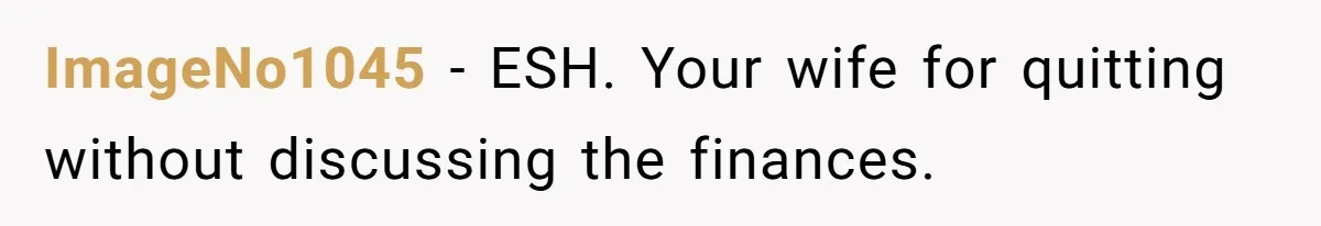 ImageNo1045 − ESH. Your wife for quitting without discussing the finances.