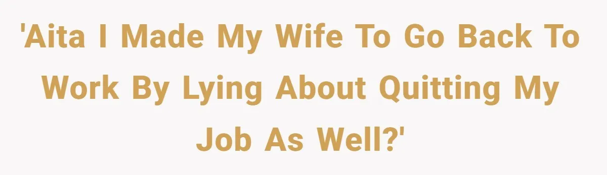 'AITA I made my wife to go back to work by lying about quitting my job as well?'
