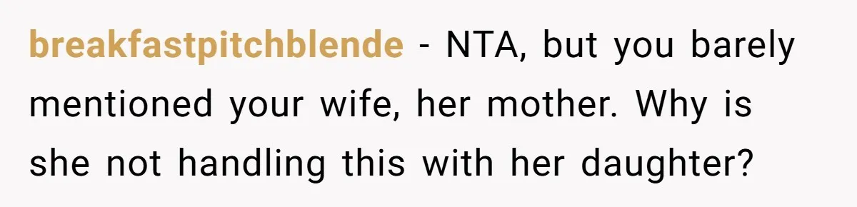 breakfastpitchblende − NTA, but you barely mentioned your wife, her mother. Why is she not handling this with her daughter?