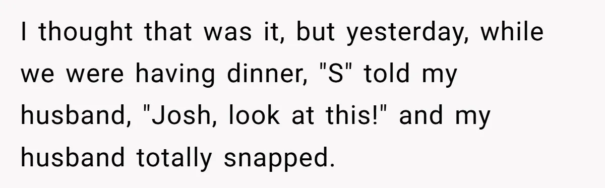 I thought that was it, but yesterday, while we were having dinner, "S" told my husband, "Josh, look at this!" and my husband totally snapped.