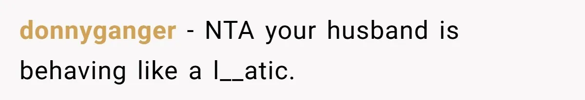 donnyganger − NTA your husband is behaving like a l__atic.