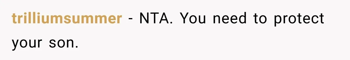 trilliumsummer − NTA. You need to protect your son.