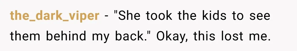 the_dark_viper − "She took the kids to see them behind my back." Okay, this lost me.