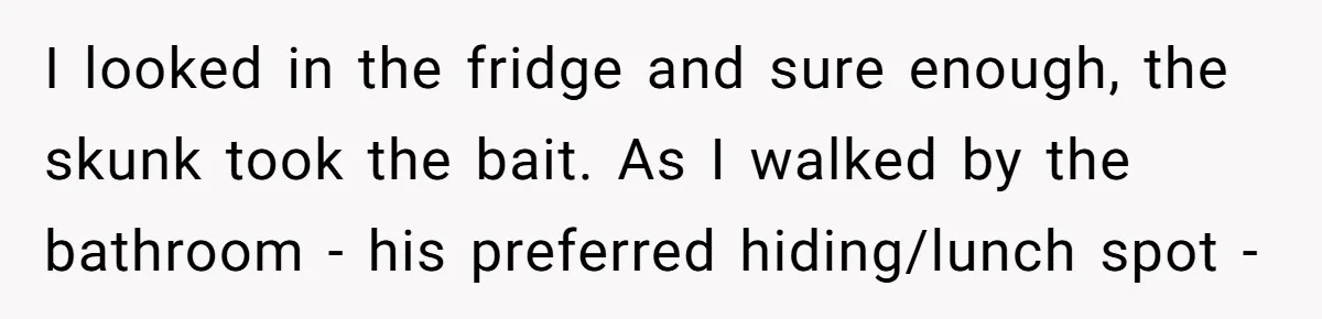 I looked in the fridge and sure enough, the skunk took the bait. As I walked by the bathroom - his preferred hiding/lunch spot -