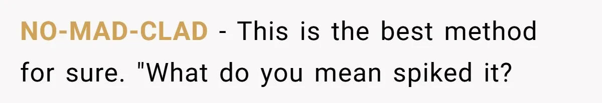 NO-MAD-CLAD − This is the best method for sure. "What do you mean spiked it?