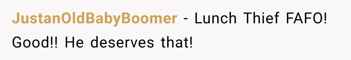 JustanOldBabyBoomer − Lunch Thief FAFO! Good!! He deserves that!