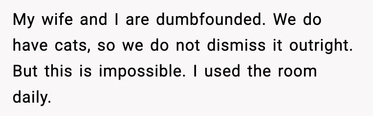 My wife and I are dumbfounded. We do have cats, so we do not dismiss it outright. But this is impossible. I used the room daily.