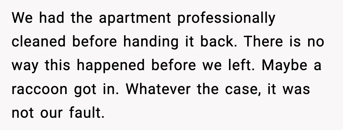 We had the apartment professionally cleaned before handing it back. There is no way this happened before we left. Maybe a raccoon got in. Whatever the case, it was not...