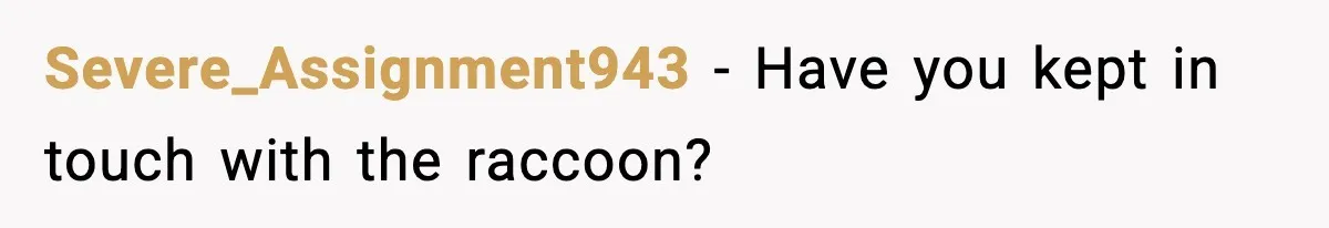 Severe_Assignment943 - Have you kept in touch with the raccoon?