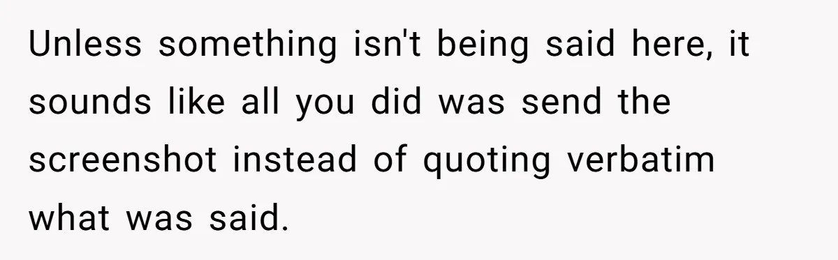 Unless something isn't being said here, it sounds like all you did was send the screenshot instead of quoting verbatim what was said.