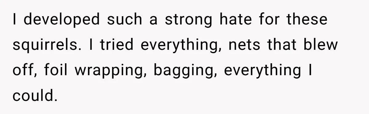 I developed such a strong hate for these squirrels. I tried everything, nets that blew off, foil wrapping, bagging, everything I could.