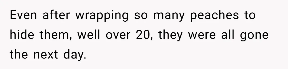 Even after wrapping so many peaches to hide them, well over 20, they were all gone the next day.
