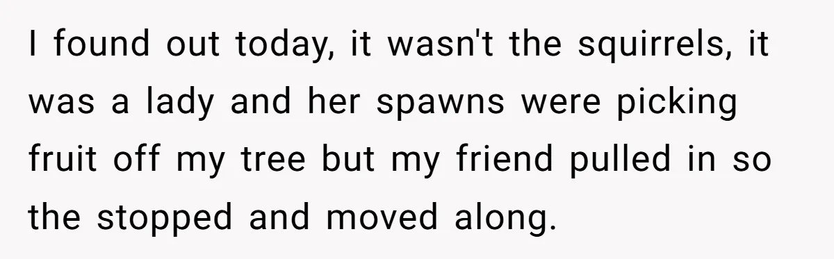 I found out today, it wasn't the squirrels, it was a lady and her spawns were picking fruit off my tree but my friend pulled in so the stopped and...
