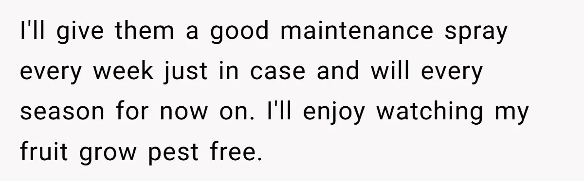 I'll give them a good maintenance spray every week just in case and will every season for now on. I'll enjoy watching my fruit grow pest free.