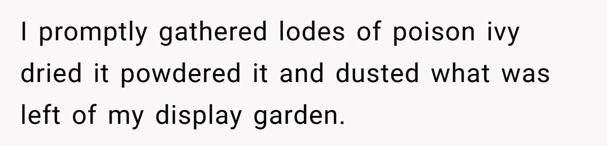 I promptly gathered lodes of poison ivy dried it powdered it and dusted what was left of my display garden.