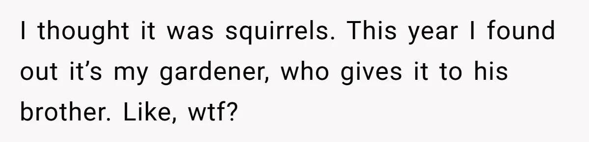 I thought it was squirrels. This year I found out it’s my gardener, who gives it to his brother. Like, wtf?