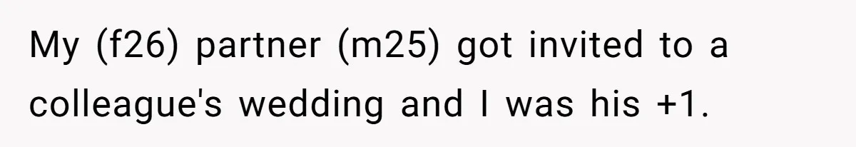 My (f26) partner (m25) got invited to a colleague's wedding and I was his +1.