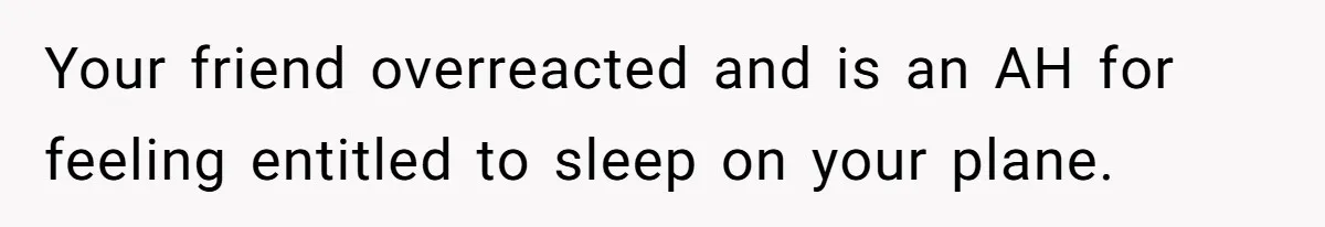 Your friend overreacted and is an AH for feeling entitled to sleep on your plane.