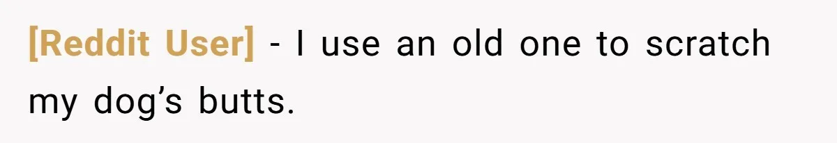 [Reddit User] − I use an old one to scratch my dog’s butts.