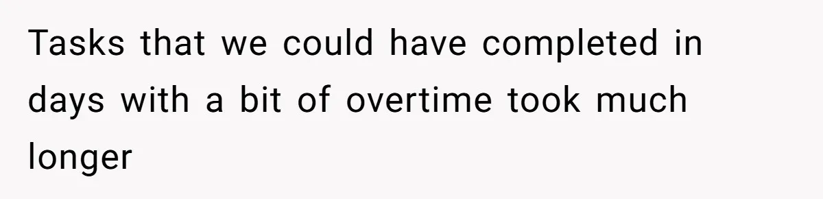 Tasks that we could have completed in days with a bit of overtime took much longer