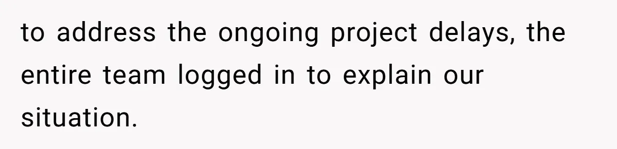 to address the ongoing project delays, the entire team logged in to explain our situation.
