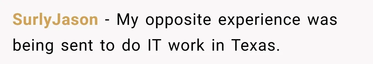 SurlyJason − My opposite experience was being sent to do IT work in Texas.