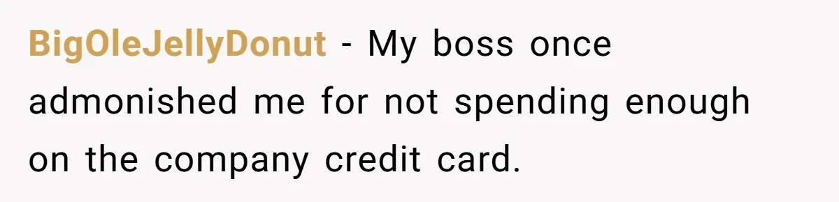 BigOleJellyDonut − My boss once admonished me for not spending enough on the company credit card.