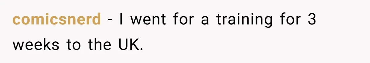 comicsnerd − I went for a training for 3 weeks to the UK.