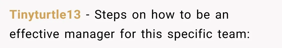Tinyturtle13 − Steps on how to be an effective manager for this specific team: