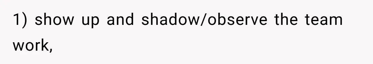 1) show up and shadow/observe the team work,