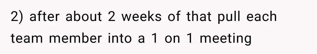 2) after about 2 weeks of that pull each team member into a 1 on 1 meeting