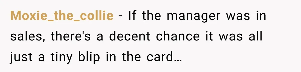 Moxie_the_collie − If the manager was in sales, there's a decent chance it was all just a tiny blip in the card…