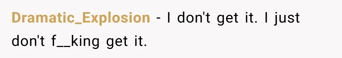 Dramatic_Explosion − I don't get it. I just don't f__king get it.