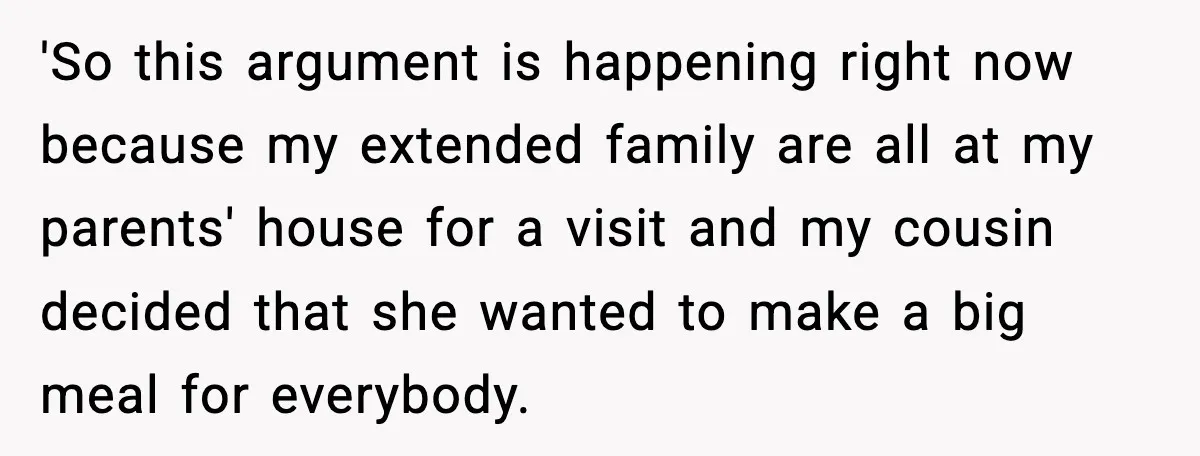 'So this argument is happening right now because my extended family are all at my parents' house for a visit and my cousin decided that she wanted to make a...